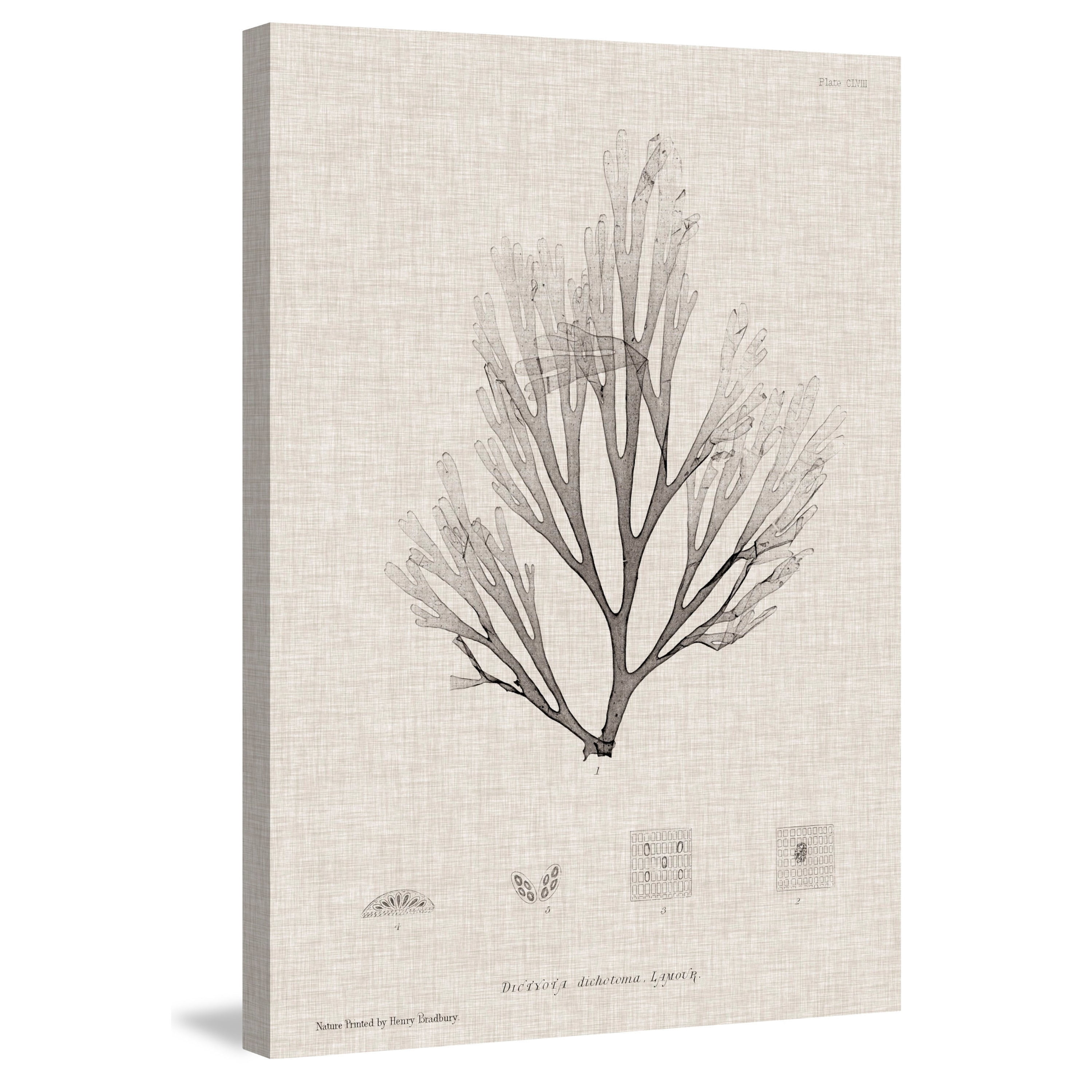 Marmont Hill "Linen Seaweed III" Painting Print on Wrapped Canvas