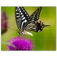 thumbnail image 1 of Picture-Tiles.com: Butterfly Ceramic Tile Wall Mural WAL500277-54S. 21.25"W x 17"H using (20) 4.25" x 4.25" Ceramic Tiles-Satin Finish, 1 of 3