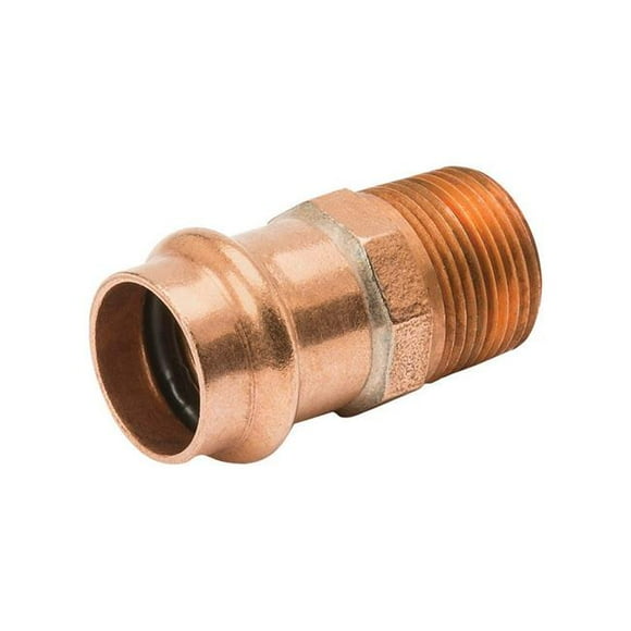 Streamline 4849428 Adaptateur Mâle en Cuivre pour Presse de 0,75 Po x 0,75 Po de Diamètre
