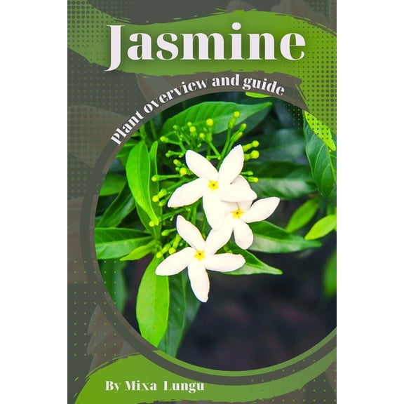 Jasmine: Plant overview and guide