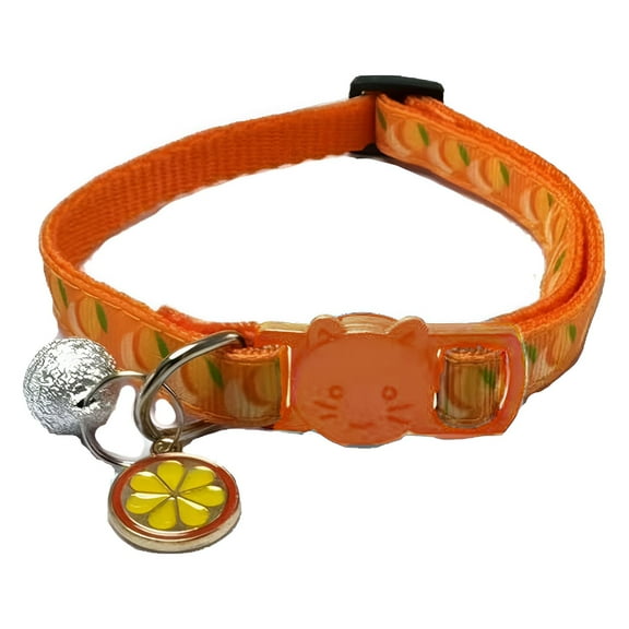 GASTROPOD Pet Leash,Secure & Non-Slip Rabbitgoo Dog Harness,Sturdy Metal Buckle Dog Leash for Small Dogs