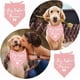 thumbnail image 5 of 1 Bandana triangular ajustable para perro de algodón rosa sin blanquear con temática "Big Sister" (promocionada a Bandanas para mascotas Big Sister), 5 of 9