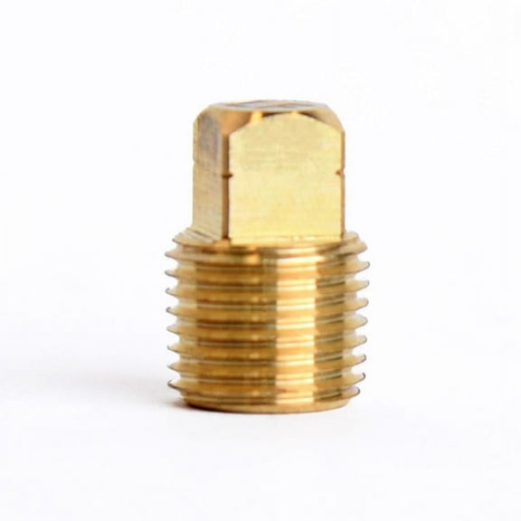 1/8 in. MPT Brass Square Head Cored Plug