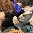 thumbnail image 3 of Bearded Dragon Cosplay Supplies Tutu Costume Party Accessories Lizard, 3 of 5