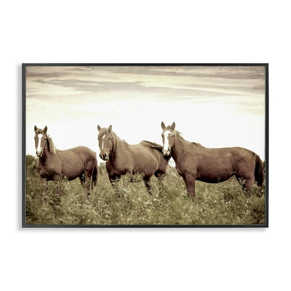 Stupell Industries Horse Trio Gaze Animals Painting Black Framed Art Print Wall Art, 18 x 12