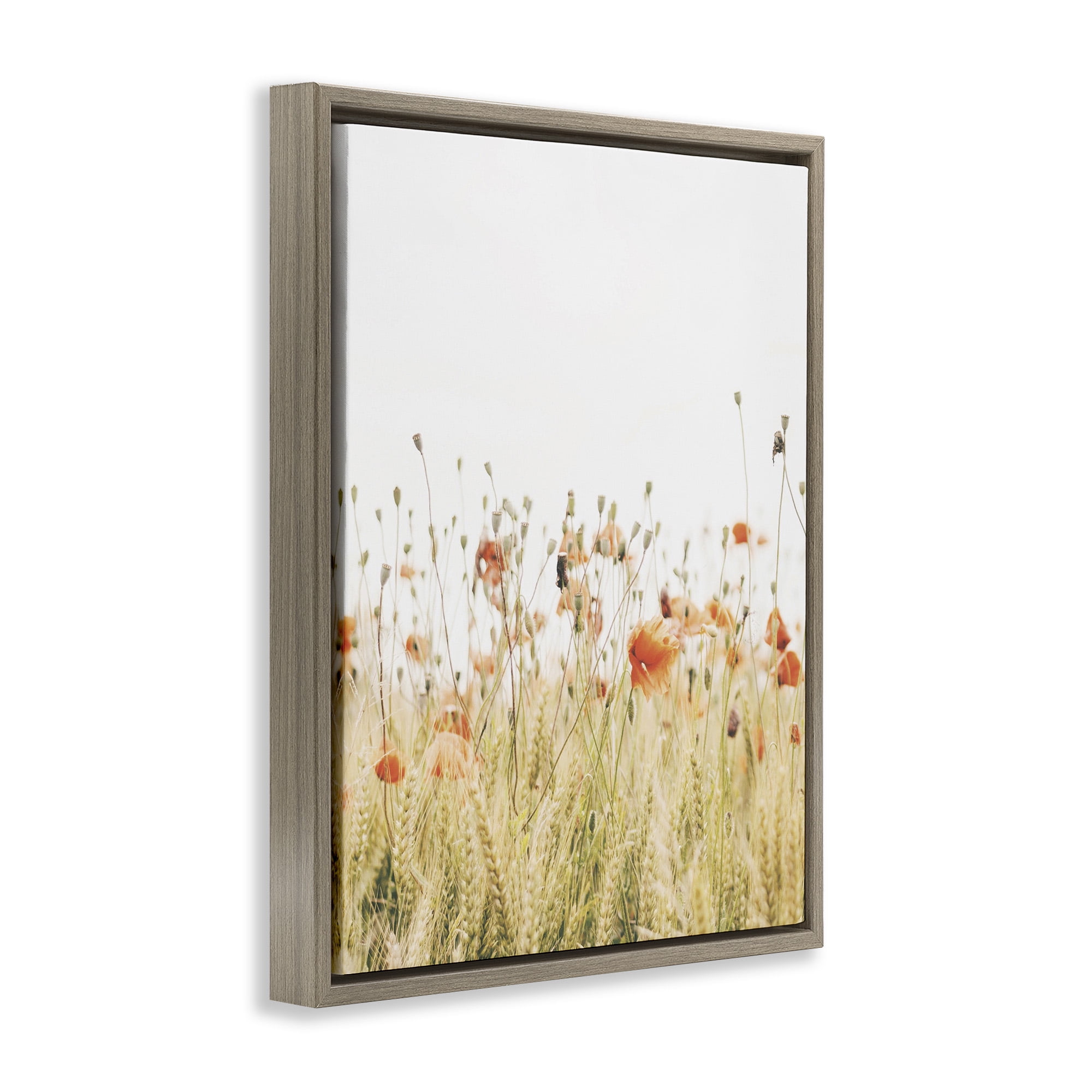 Stupell Industries Poppy Field Photography Botanical & Floral Photography Brown Floater Framed Canvas Art Print Wall Art, 17 x 21
