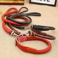 thumbnail image 2 of Juego de correas para collar de piel para mascotas, cuerda gruesa para perros que caminan, collar de PU, accesorios para mascotas con correa, correas para perros grandes, 2 of 4
