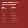 thumbnail image 6 of Purina Dog Chow Complete Adult Dry Dog Food for Adult Dogs, Kibble Beef Flavor, 32 lb. Bag, 6 of 6