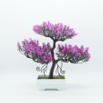 thumbnail image 3 of Pequeña planta de simulación en maceta para adornos decorativos Hierba de dragón artificial de color rojo rosa, 3 of 3