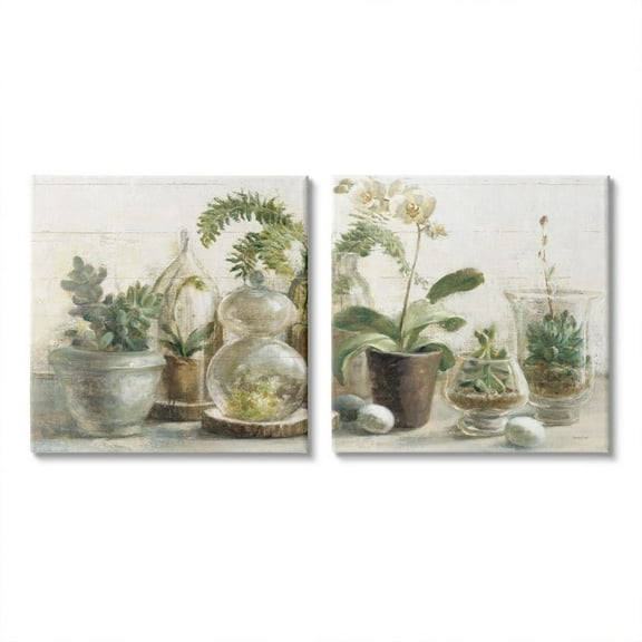Succulent House Plants Country Charm Green Brown Botanical & Floral Gallery-Wrapped Canvas Print Wall Art, Set of 2, 17x17