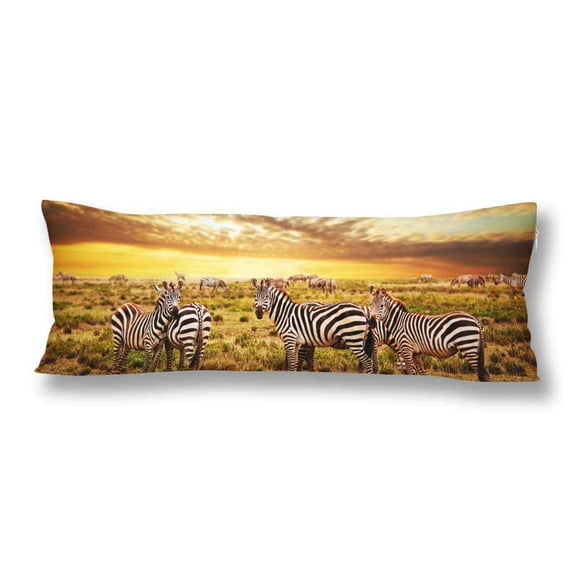 ABPHOTO Zebras Body Pillow Covers Pillowcase Throw Pillows 20x60 inch