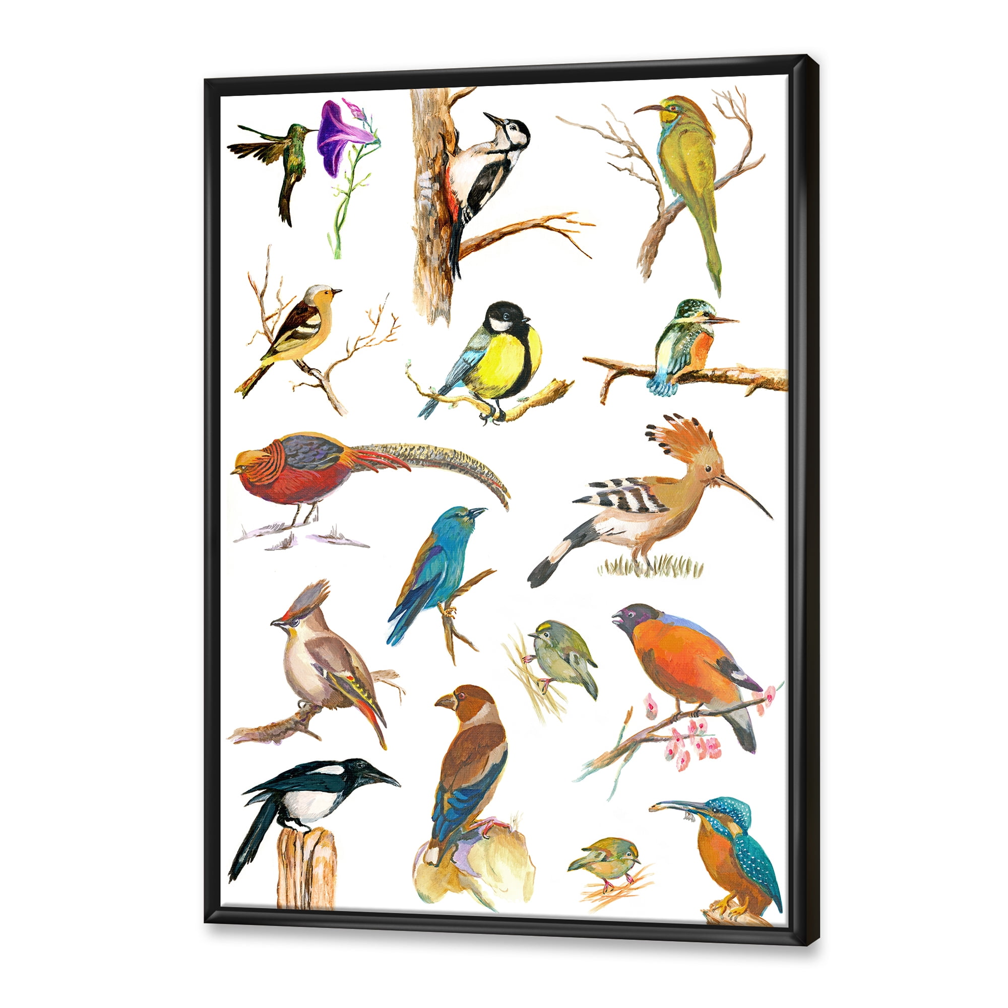 Designart 'Vital Colored Birds Plancard' Traditional Framed Canvas Wall Art Print