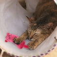 thumbnail image 3 of Since Hi Cute Sound - Making Paper Cat Toy with Tail, 3 of 5