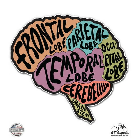 Brain - 3" Vinyl Sticker - For Car Laptop I-Pad Phone Helmet Hard Hat - Waterproof Decal