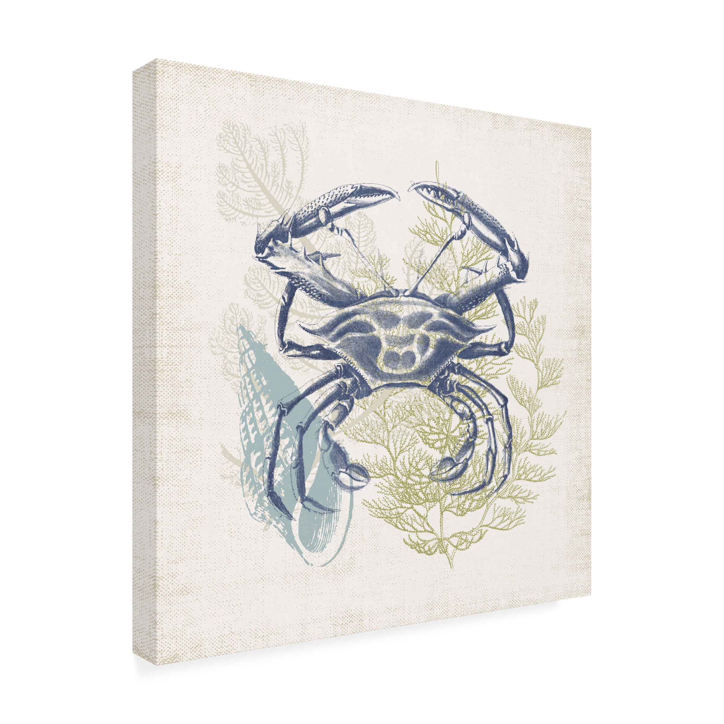 Victoria Barnes 'Antique Coastal Ephemera VI' Canvas Art