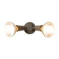 thumbnail image 3 of Cooper Lighting 2-Light Outdoor Spotlight, 3 of 8