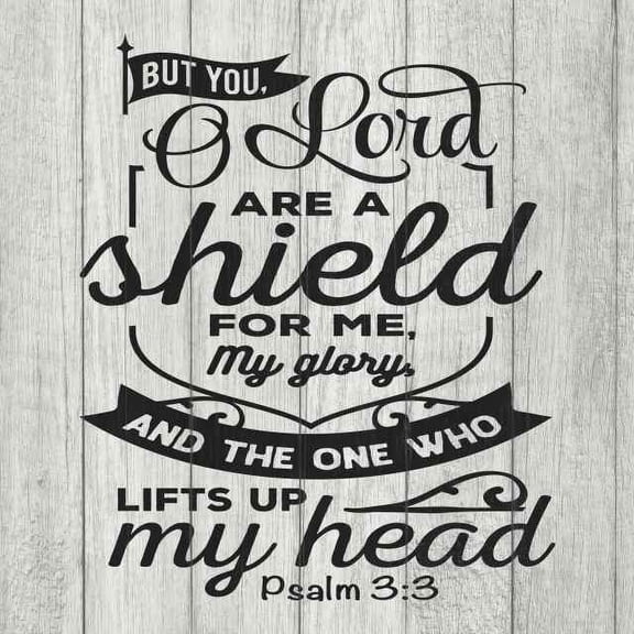 You O Lord are my Shield, Psalm Rustic Looking Faith Wood Sign Wall Décor Gift 12 x 12 Wood Sign B3-12120062041