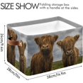 thumbnail image 4 of GZHJMY 2PCS Storage Basket, Two Highland Cows Large Foldable Storage Bins Cube Collapsible Organizer for Organizing Closet Clothes, Toys, Towels, Bedroom, Bathroom, Nursery, Office, 4 of 7