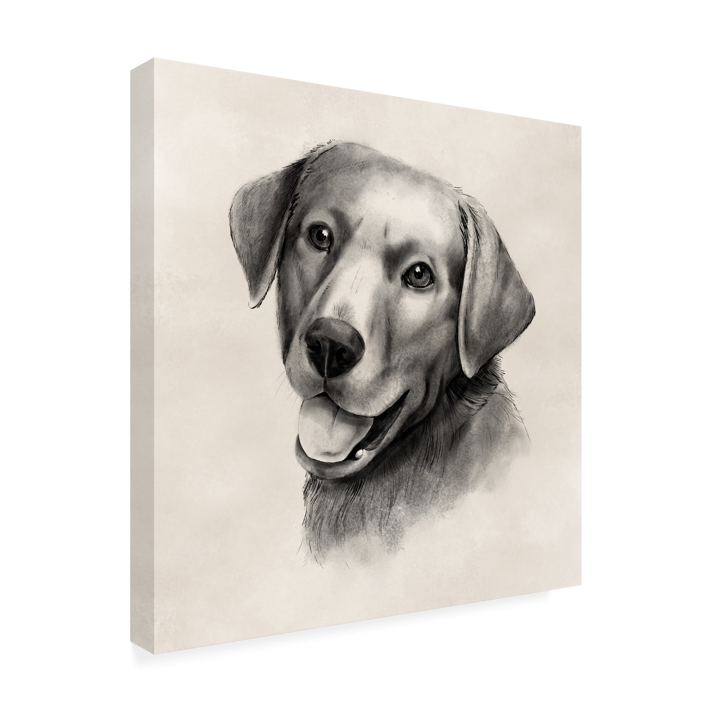 Grace Popp 'Charcoal Labrador II' Canvas Art