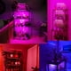 thumbnail image 5 of Inteprter Tiras de luz LED creciente USB ABS Phytolamp 5 modos de iluminación Linterna ajustable Luces de espectro completo para oficina Invernadero Jardín y Patio Cuatro Cabezas Rojo Azul Inteprter HA011849-09B, 5 of 6