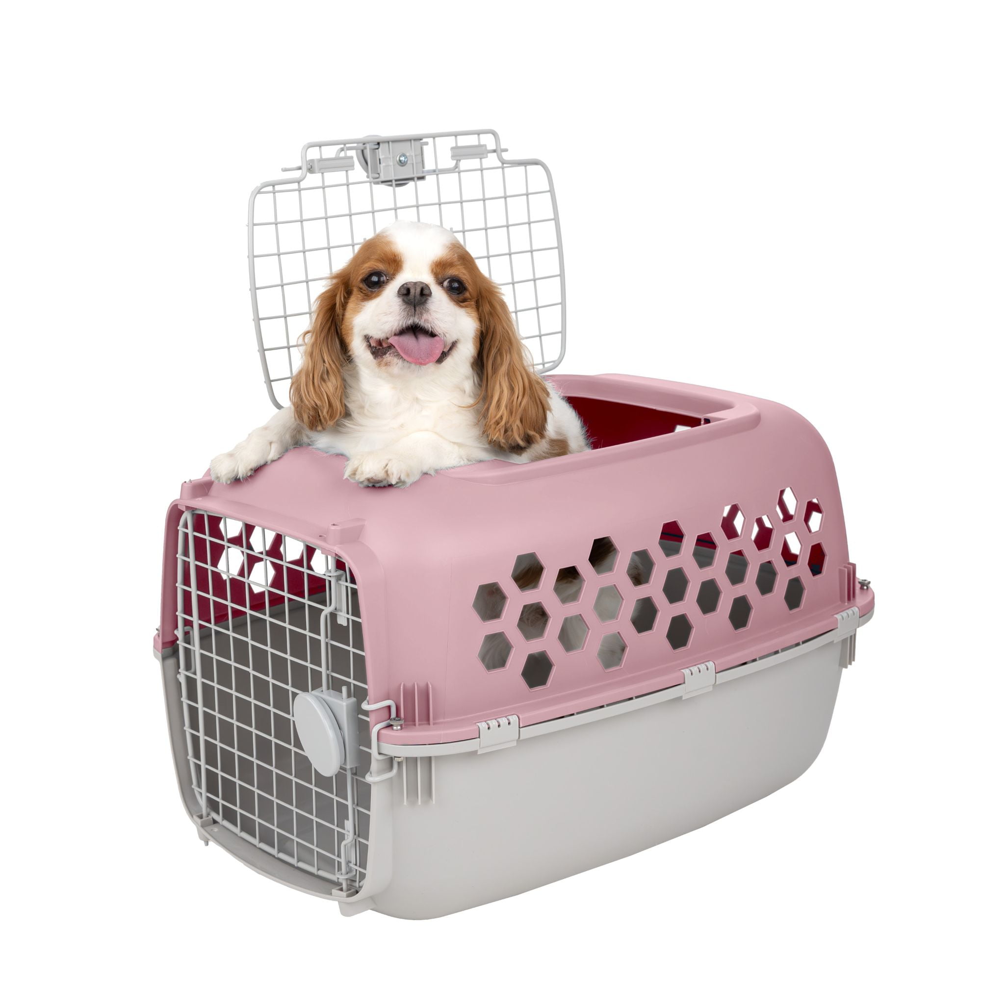 Vibrant Life 2-Door 24" Plastic Portable Kennel for Dogs, Pink