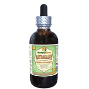 Astragalus (Astragalus membranaceus) Glycerite, Organic Dried Root Alcohol-FREE Liquid Extract (Herbal Terra, USA) 4 oz