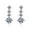 White, variant on S925 Sterling Silver Earrings Women's Mosan Diamond Earrings High-End Tassel Four-Claw 1 Carat Earrings Moissanite Earrings