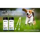 thumbnail image 1 of Pet Urine Testing Strips, 100 Urinalysis Parameter Tests for Dogs,Cats,Vets, Accurate Testing for V, 1 of 5