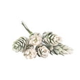 thumbnail image 2 of SPRING PARK 1Pc Artificial Flower Pine Cone Home Party Wedding Garden Decor DIY Fashion, 2 of 7
