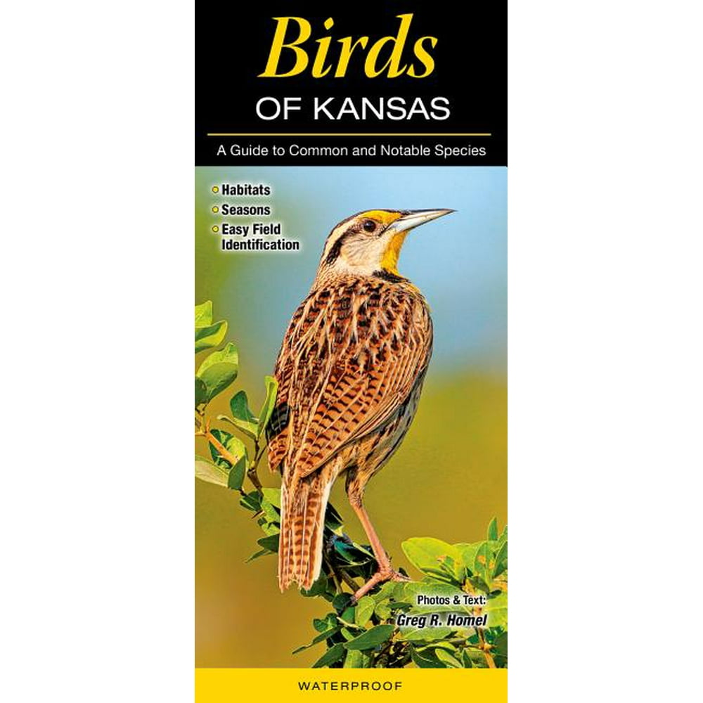 Birds of Kansas A Guide to Common and Notable Species