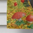 thumbnail image 4 of Carolines Treasures ASA2135CHF Badger Flag Canvas House Size, 4 of 4