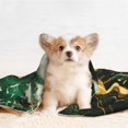 thumbnail image 4 of Yiaed Green Marble Print Dog Blankets-Cat Blanket Washable for Couch Protection,Puppy Blanket, Soft Plush Reversible Throw Furniture Protector-Medium, 4 of 8