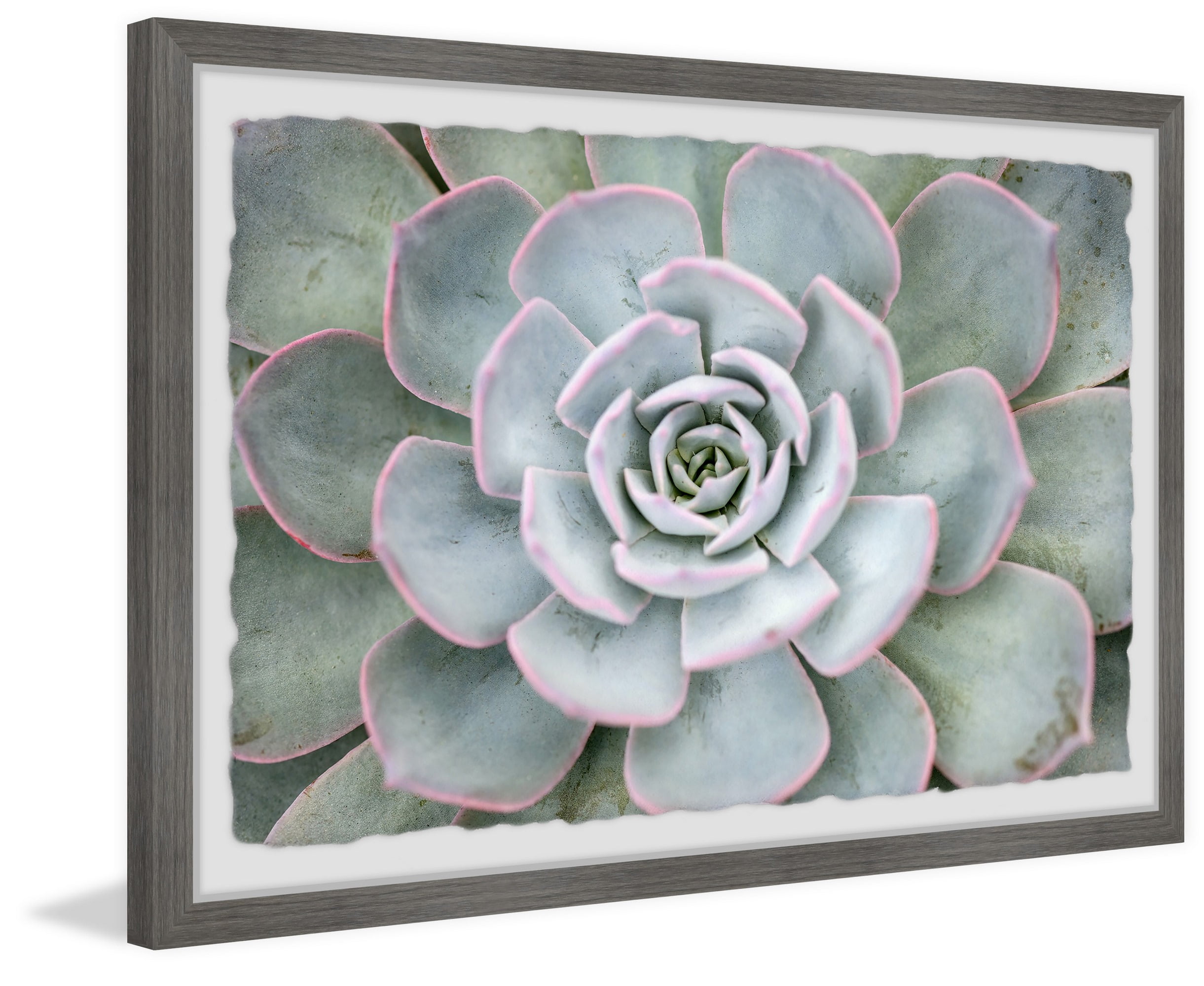 Marmont Hill Pink Edges Framed Wall Art, 16" x 24"