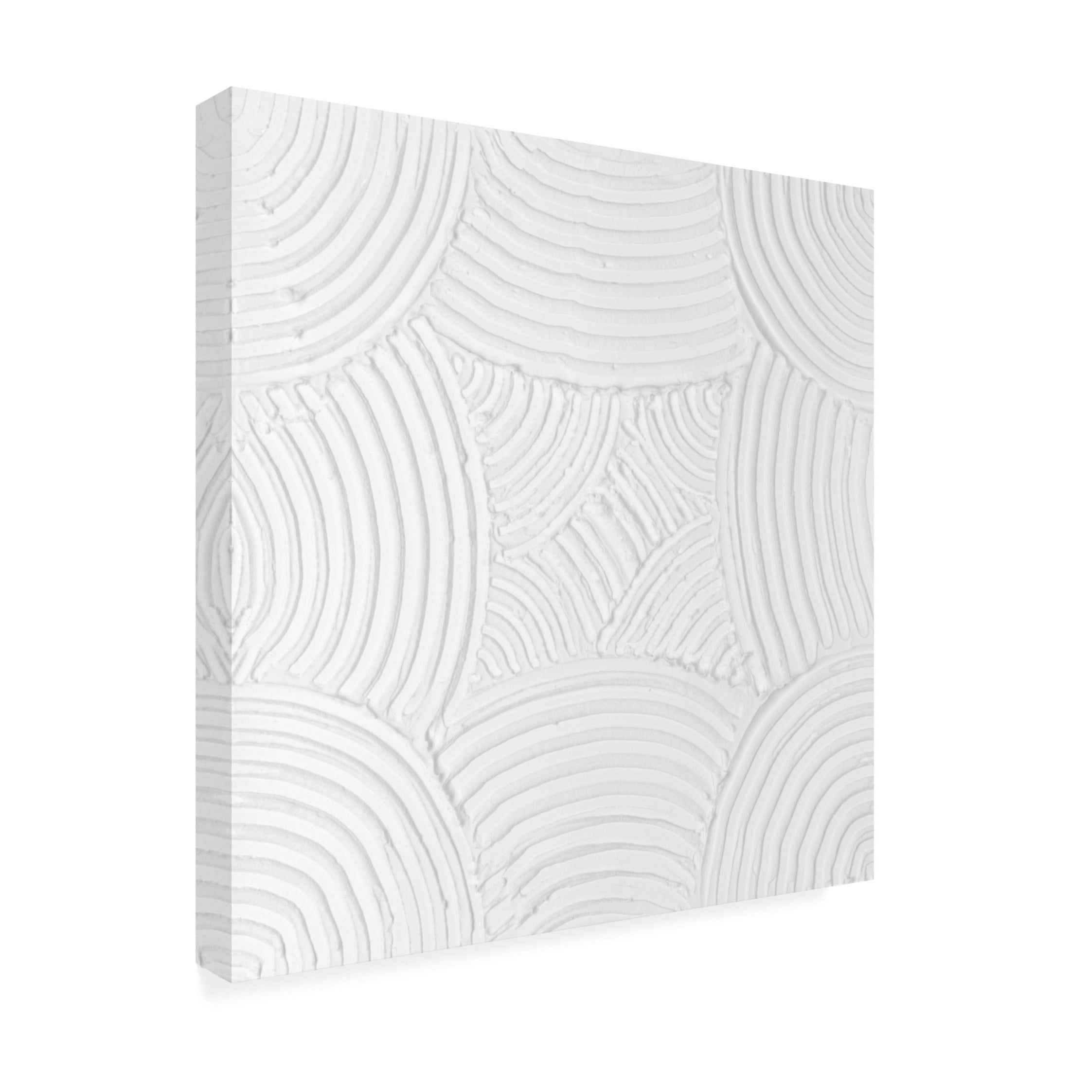 Trademark Fine Art Michael Willett Pale Tracks II Canvas Wall Art
