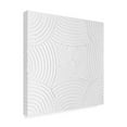 thumbnail image 2 of Trademark Fine Art Michael Willett Pale Tracks II Canvas Wall Art, 2 of 4