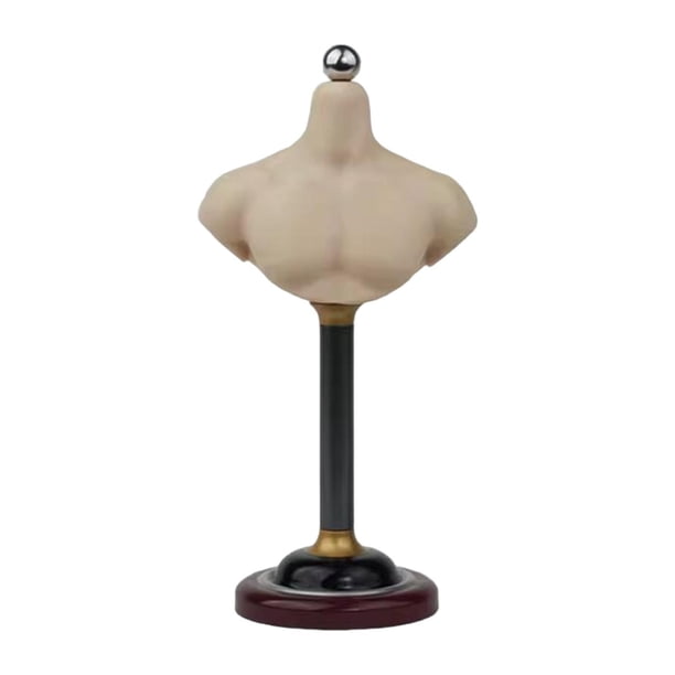 Base de busto de medio tamaño 1/6, accesorios para esculpir cabeza, soporte para diseño de roles 153 cm