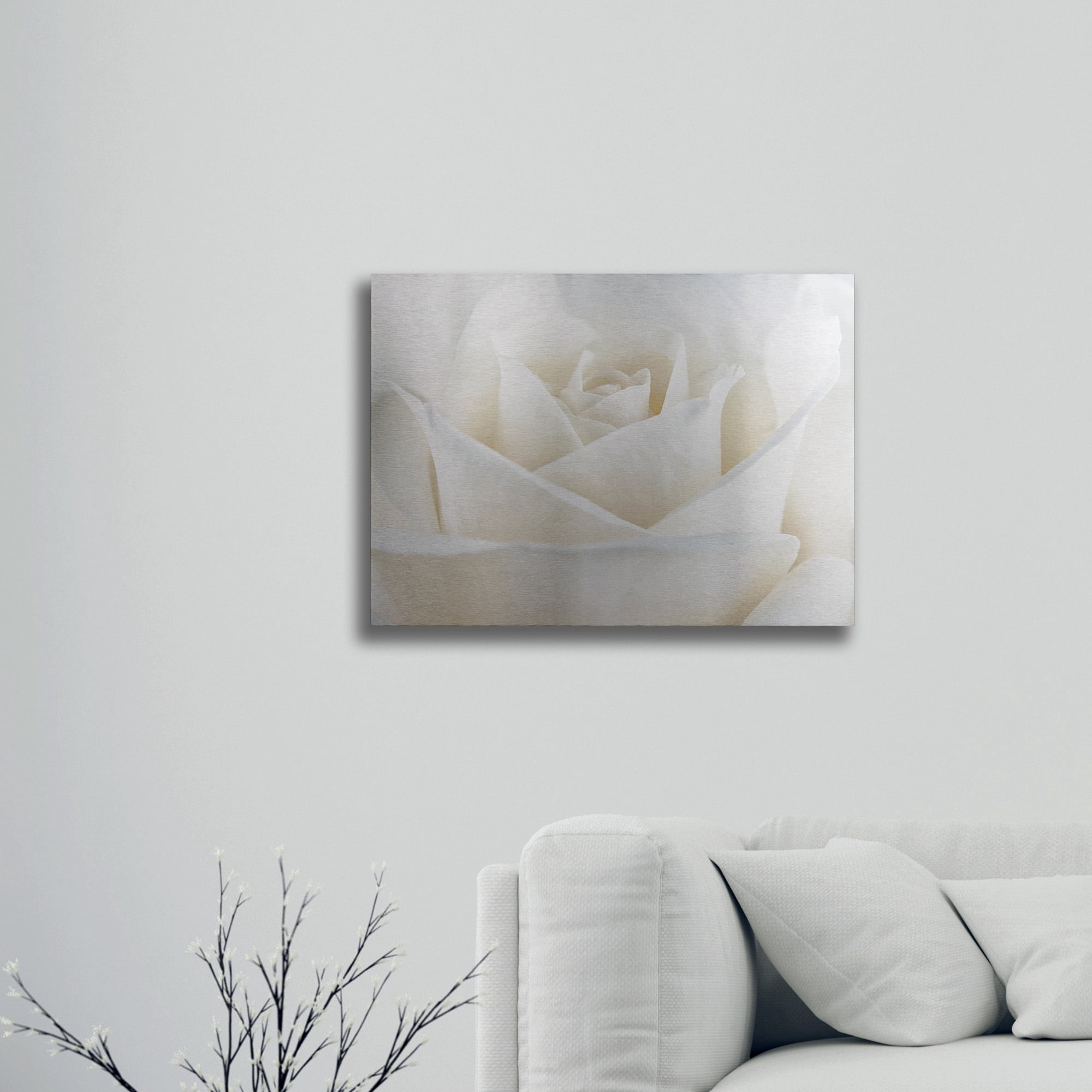 Trademark Fine Art 'Pure White Rose' Brushed Aluminum Wall Art Art by Cora Niele