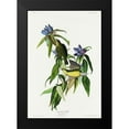 thumbnail image 2 of Audubon, John James 18x24 Black Modern Framed Museum Art Print Titled - Connecticut Warbler, 2 of 5
