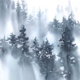 thumbnail image 2 of Pete, Katrina 12x12 White Modern Wood Framed Museum Art Print Titled - Misty Forest I, 2 of 4
