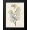 thumbnail image 2 of Koetsier, Albert 15x18 Black Modern Framed Museum Art Print Titled - Sunkissed Eucalyptus 4, 2 of 5