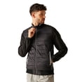 thumbnail image 4 of Regatta Veste Hybride pour Hommes Brennon, 4 of 5