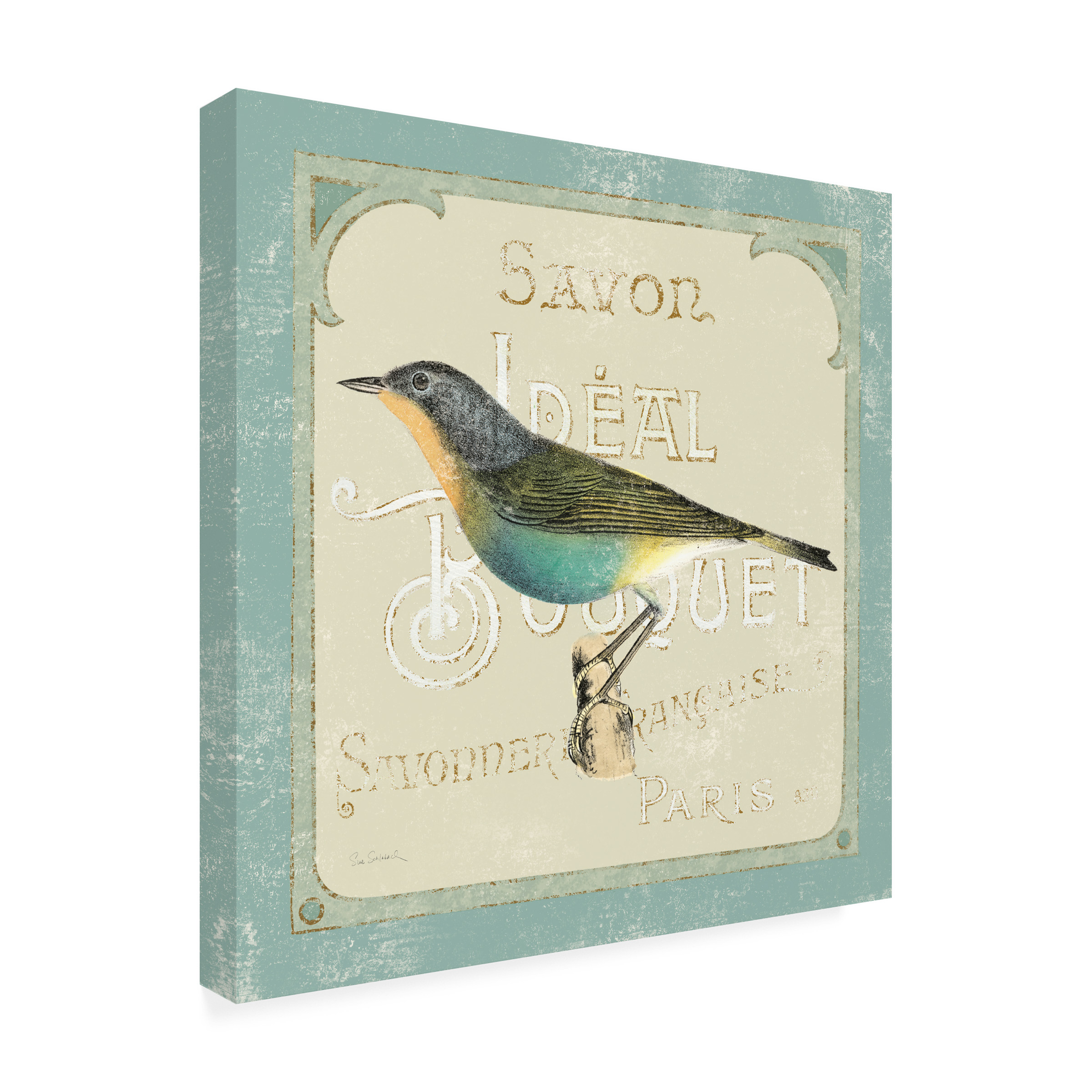 Trademark Fine Art 'Parisian Bird II' Canvas Art by Sue Schlabach