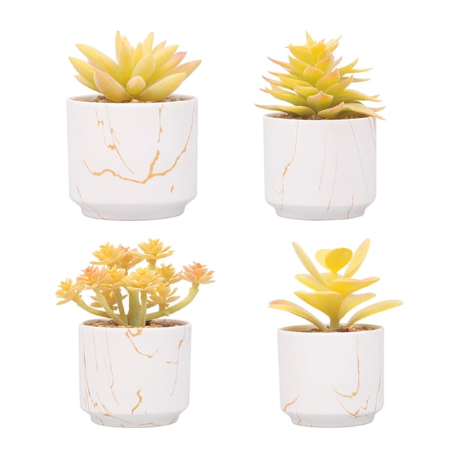 Plantas artificiales suculentas, las plantas artificiales se utilizan para la decoración de la oficina en el hogar.
