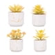 thumbnail image 1 of Plantas artificiales suculentas, las plantas artificiales se utilizan para la decoración de la oficina en el hogar., 1 of 5