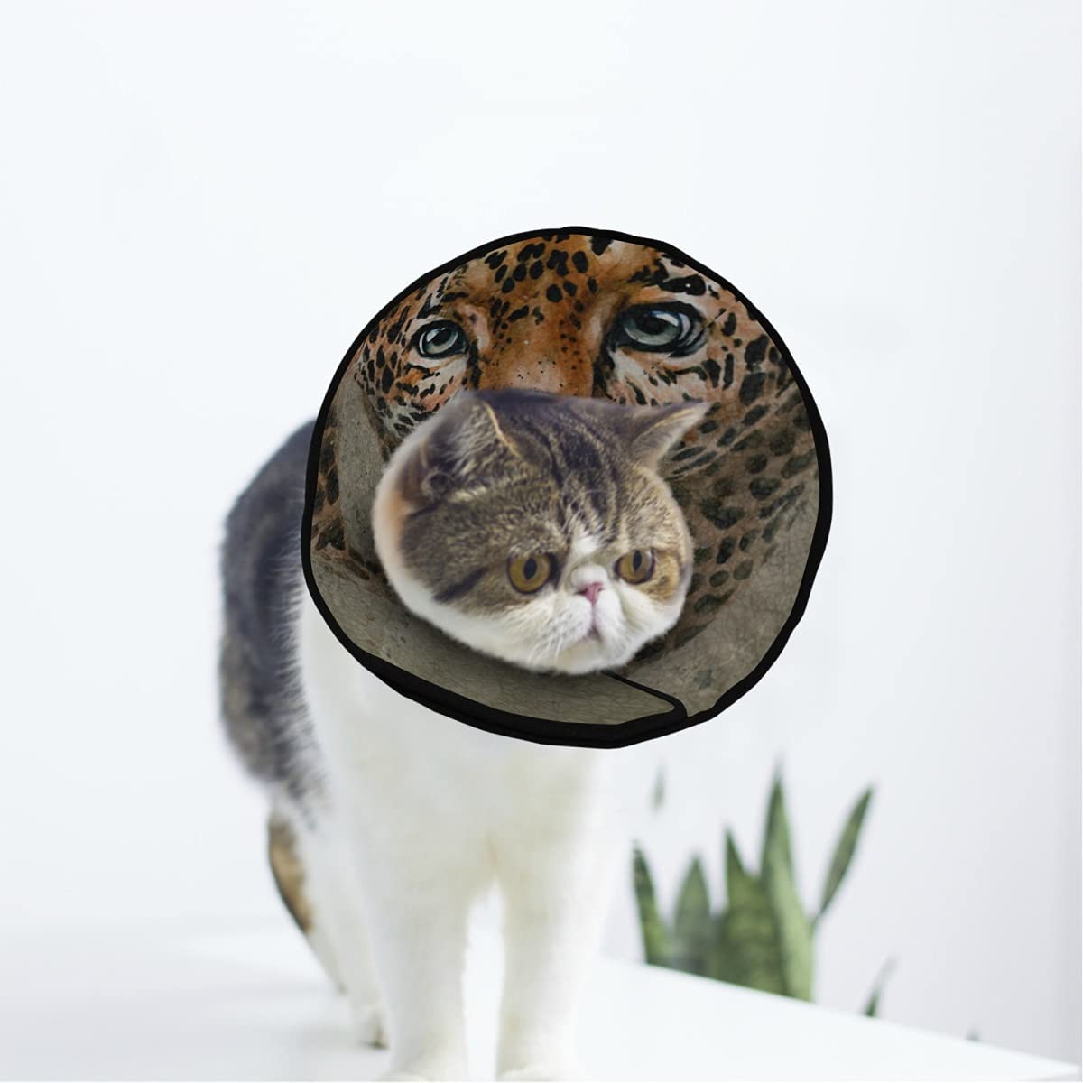Prowling Tiger Soft Cat Dog Recovery Collar Adjustable Cat Cone Wound Healing Protective After Surgery for Soft Pet Cone Collar