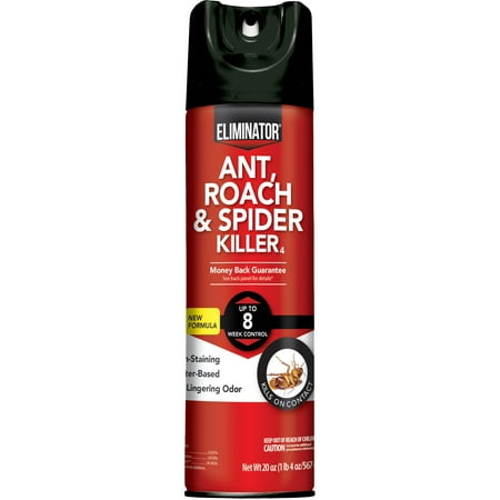 Eliminator Ant, Roach & Spider Killer, Aerosol Spray, 20 (Best Spider Spray For Outside)