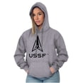 thumbnail image 3 of USSF Logo United States Space Force Unisex Plus Size Hoodie Brisco Brands 2X, 3 of 5