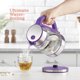 thumbnail image 3 of Hervidor eléctrico Peach Street Speed-Boil 1.7L 1500W de vidrio, 3 of 9