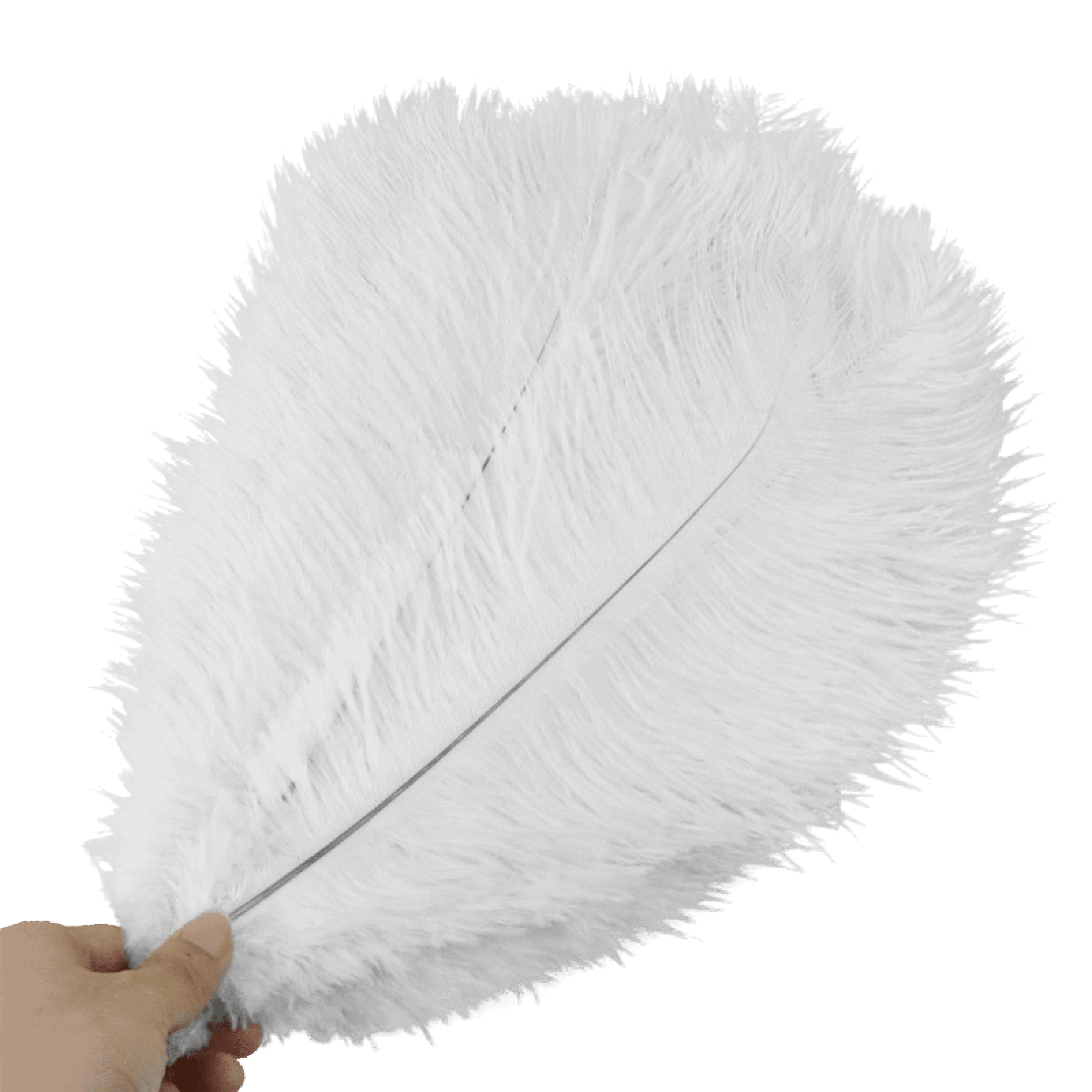 5 Pcs Elegant 50-55Cm Ostrich Feathers For Crafts WeddingParty Supplies  Carnival