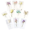 thumbnail image 3 of 12pcs Teachers' Day Gift Valentine's Day Dried Flower Greeting Cards (Random Style), 3 of 8